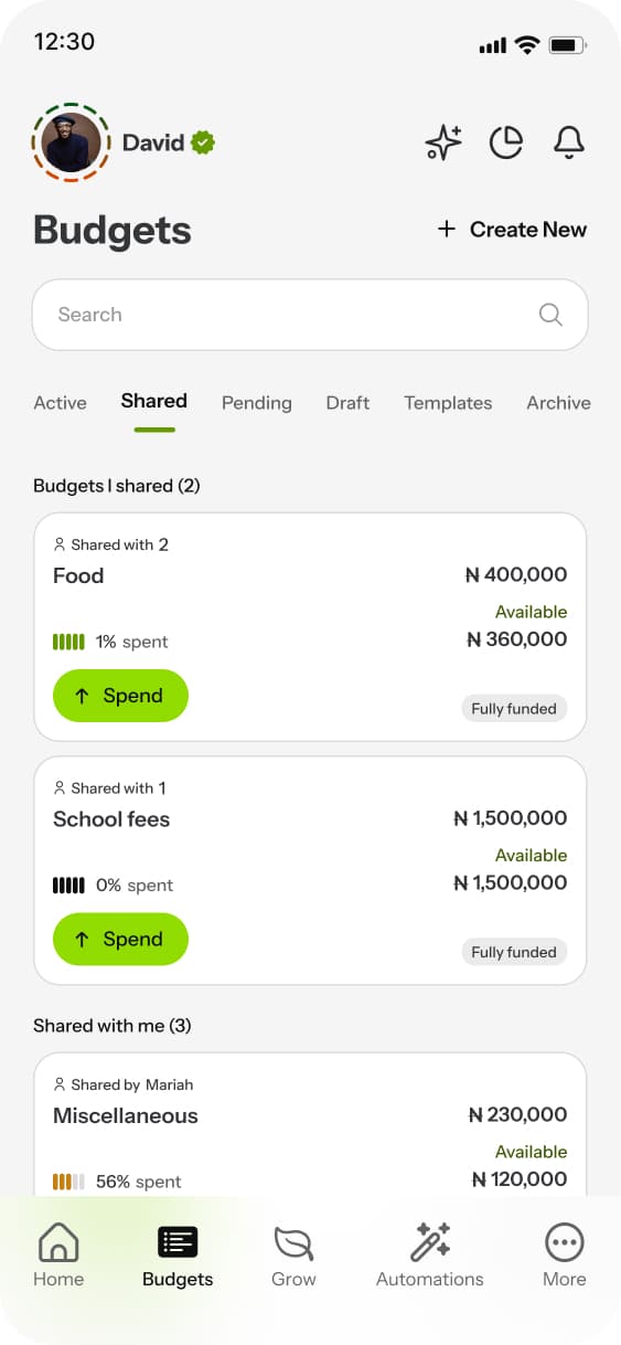 Shared Budgets View